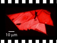 Exciton fluctuations in Nano&nbsp;Letters