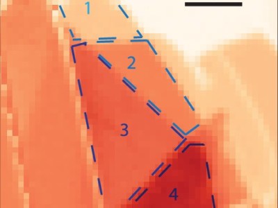 Monolayer semiconductor superlattices