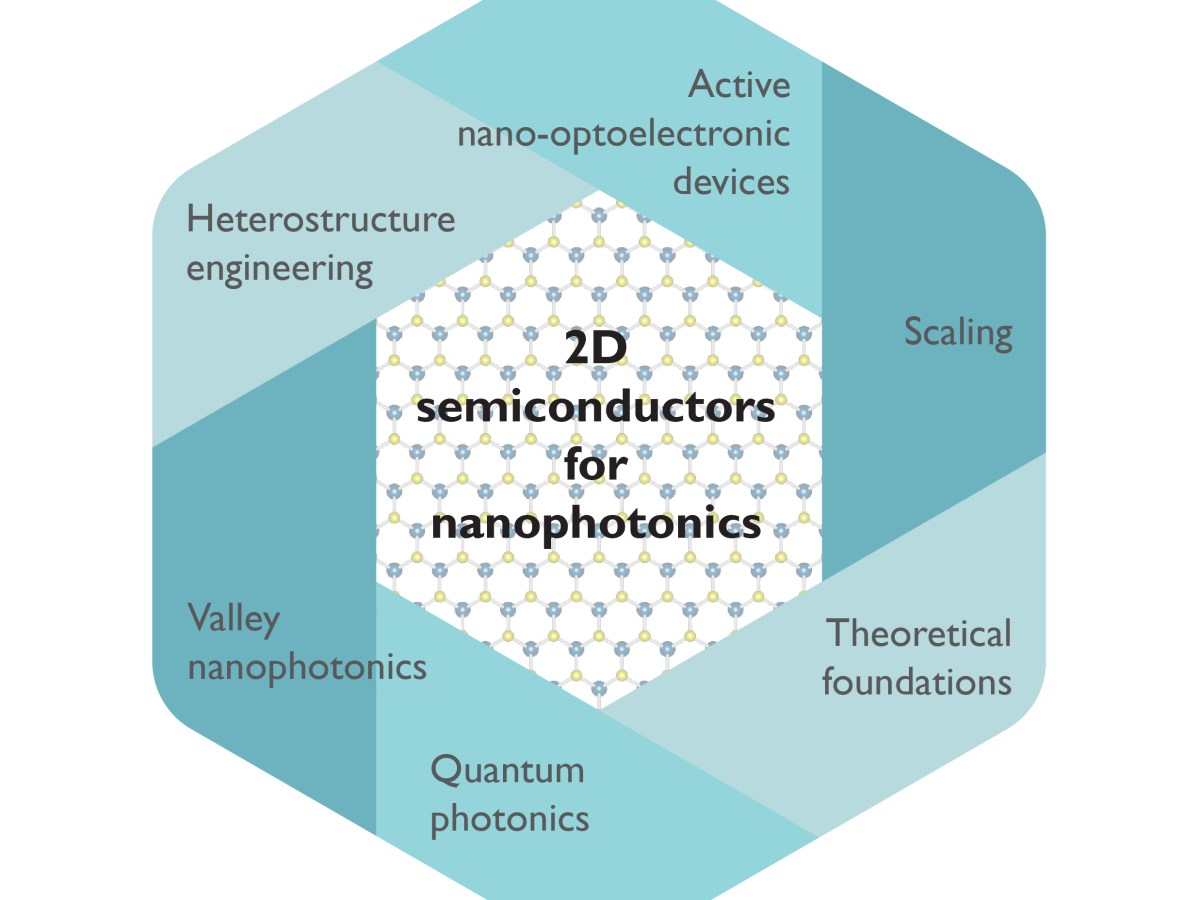 Perspective in npj&nbsp;Nanophotonics
